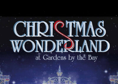 Christmas Wonderland